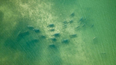 Keep Searching – mit Mark Hofman // Season 1 Episode 2