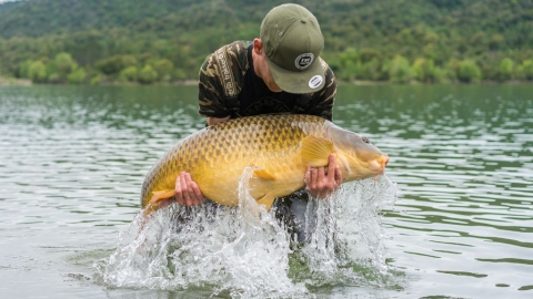 Keep Searching – mit Mark Hofman // Season 1 Episode 5