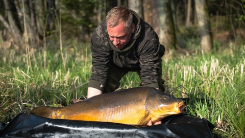 Im Wolfsgebiet – mit Danilo Lass (Teil 2)