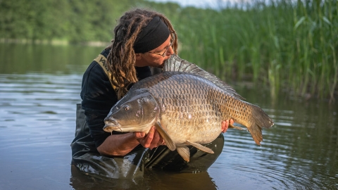 Endlich wieder Träumen – mit Alex Griebel
