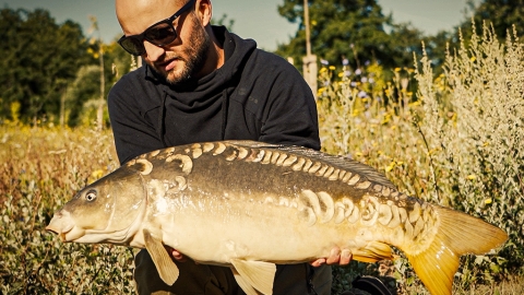 Zurück in den Flow – Teil 1 – mit Simon Gehrlein