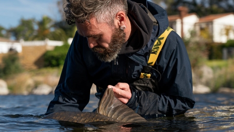 Boy Scout Business – The Spanish Chapters (Teil 1)