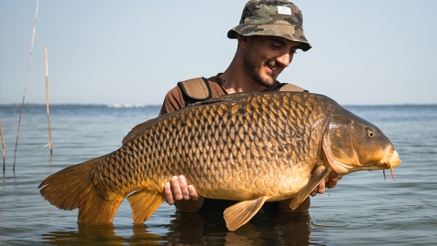 6000 Hektar und es läuft! Pursuit of Freedom – Episode 1