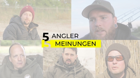 Welche Hakengröße ist perfekt?! – 5 Angler 5 Meinungen
