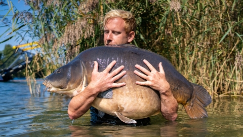 XXL-Karpfen-Rekord in Wien – DONAU – Keep Searching #3 – Episode 1