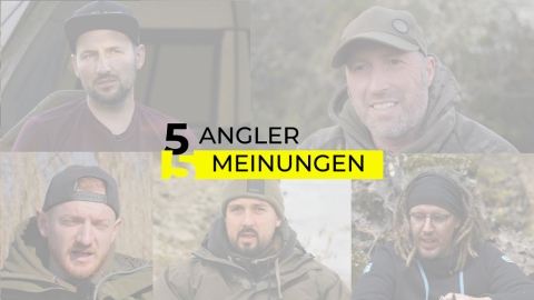 Karpfen in der Laichzeit beangeln? – 5 Angler 5 Meinungen