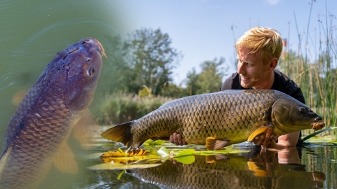 Karpfen mit der Unterwasserkamera – Keep Searching #4 – E5 Teil 1