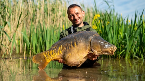 HOW TO – Karpfenangeln während der Laichzeit mit Robin Illner