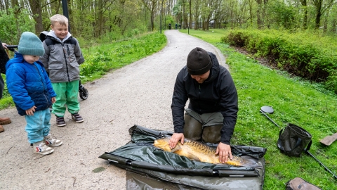 Karpfenangeln am Parksee – Mit Pierre Michel Lehe