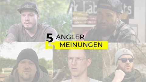 Sind Kohlenhydratköder im Sommer besser? – 5 Angler 5 Meinungen