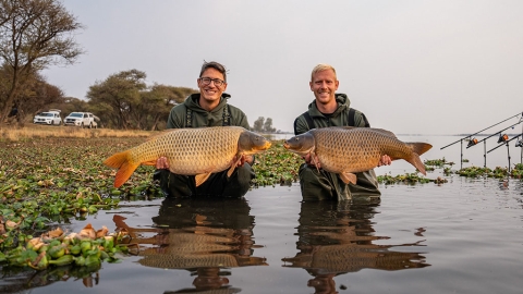 Zwischen Krokodilen und Nilpferden – Pilaar & Hofman in Afrika – Teil 1