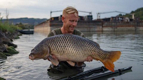 Die Donau im Visier! Wild Rivers Episode 5 – Teil 2/2