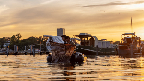 Flusskarpfenangeln in Berlin: Das Spreefloß mit Steven Klatt und Franz Rößner