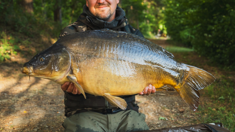 Holland-Roadtrip mit Pierre-Michel Lehe – Zwischen Frust & Erfolg – Teil 2