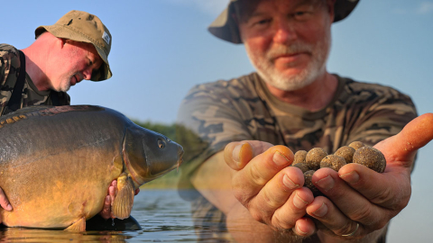 HOW TO: Futterplatz-Tipps von Kay Synwoldt