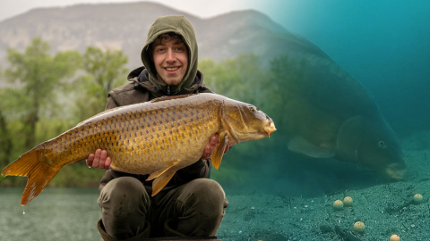 Angeln vor der Unterwasserkamera an den klaren Alpenseen – Underfishing Life (Teil 1)