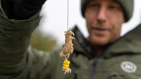 Ein neues Rig auf dem Prüfstand – mit Maden auf Winterkarpfen! Balkan 3.0 Teil 1