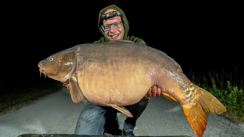 Mit Unterwasserkamera zum Erfolg: Dicke Kanalkarpfen überlistet