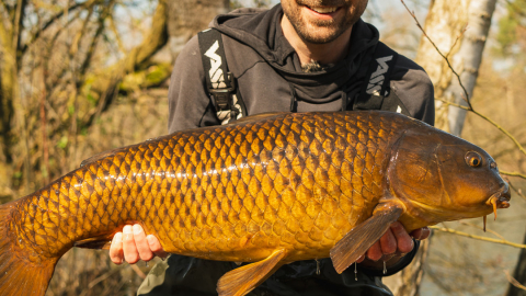 Fangen statt Aussitzen – mit Nico Brocher.