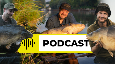 Vom Hobby zum Sponsoring: Ein Blick hinter die Kulissen des Teamangler-Seins – PRO Podcast #1