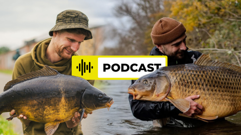 Während alle campen, laufen wir um den See: Karpfenangeln in unter 24h | PRO Podcast #2