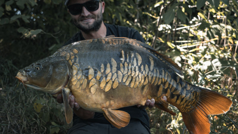 Kostenlos: BEST OF! KRASSE Momente beim Karpfenangeln